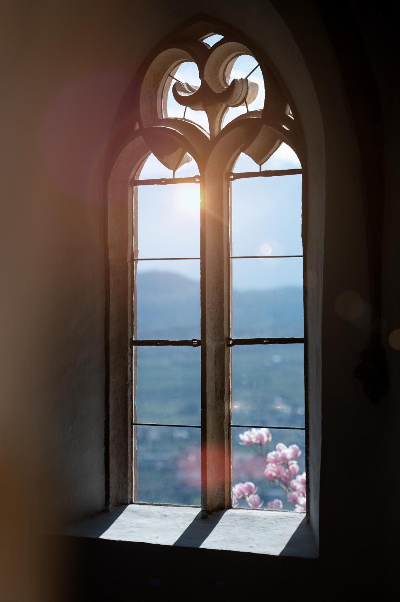Schloss Freudenstein Appiano Sulla Strada Del Vino Exterior photo